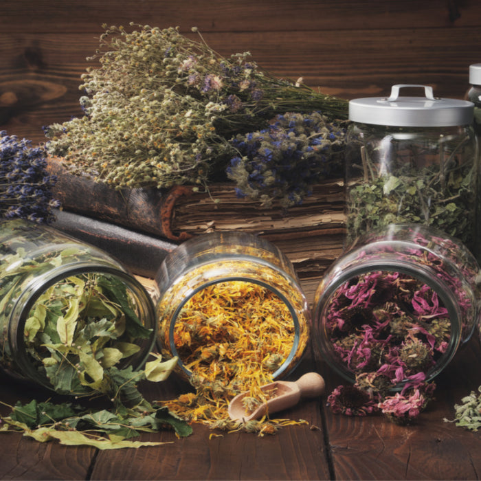 Herbal Tincture Kits