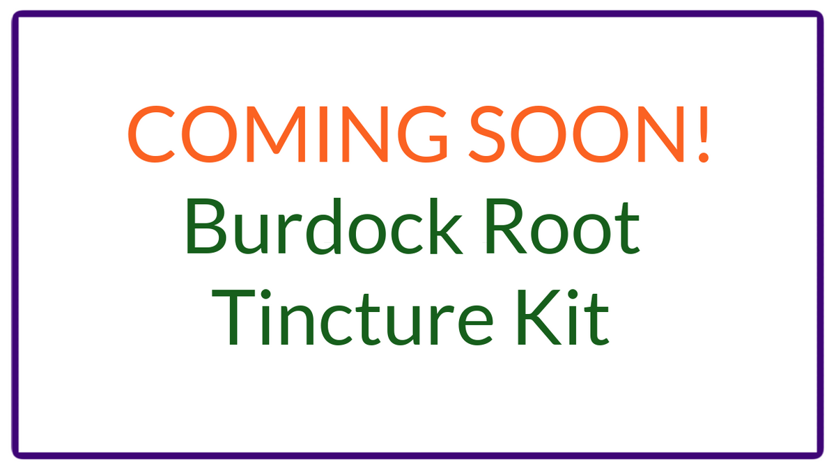 Burdock Root Tincture Kit