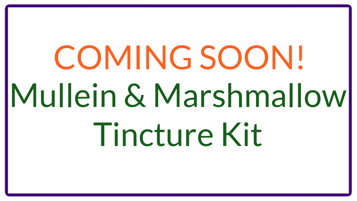 Mullein, Marshmallow Tincture kit