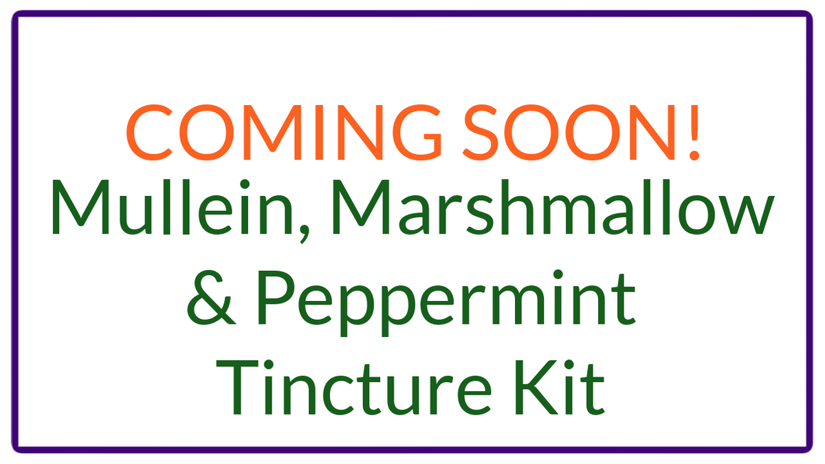 Mullein, Marshmallow, Peppermint Tincture Kit